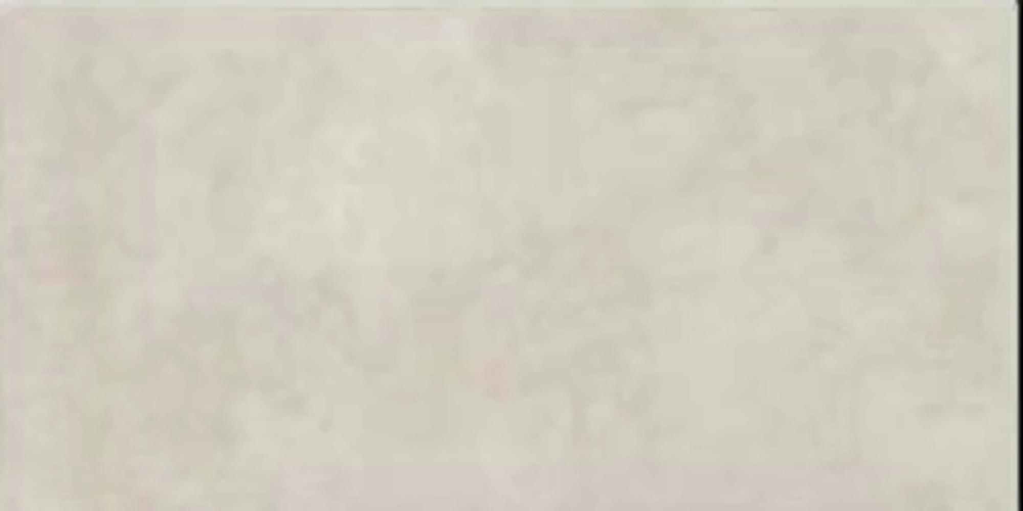 Virony Ceramic Floor and Wall Finishing Tile Light Grey, Off White Super rustic, 300 x 600 mm