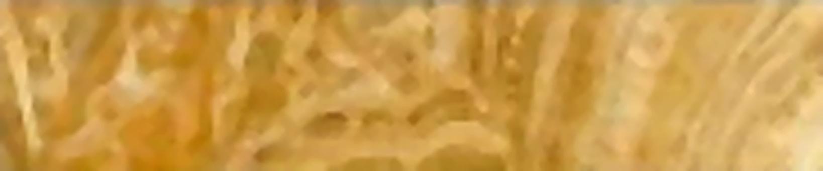 Virony Ceramic Wall Finishing Tile Pale Gold, Mustard Glazed, 120 x 600 mm