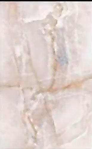 Virony Ceramic Wall Finishing Tile Cream, Beige, Pearl White, Light Grey Glazed, 250 x 400 mm