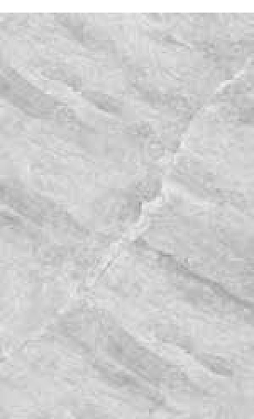 Goodwill Ceramic Wall Tile Pearl Grey Marble / White Glossy, 250 x 400 mm