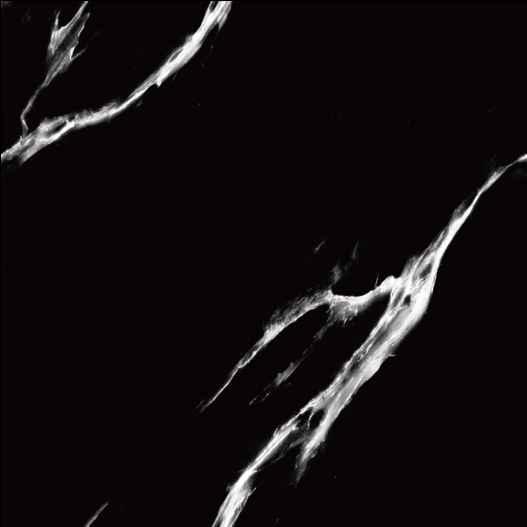 good will Ceramic Floor Finishing Tile Nero Black Marble, Carrara White Super Polished, 600 x 600 mm