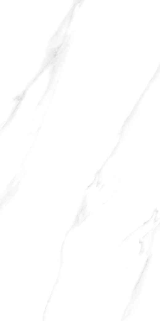 GOODWILL Ceramic Floor Finishing Tile Carrara White, Statuario White Super Polished, 600 x 1200 mm