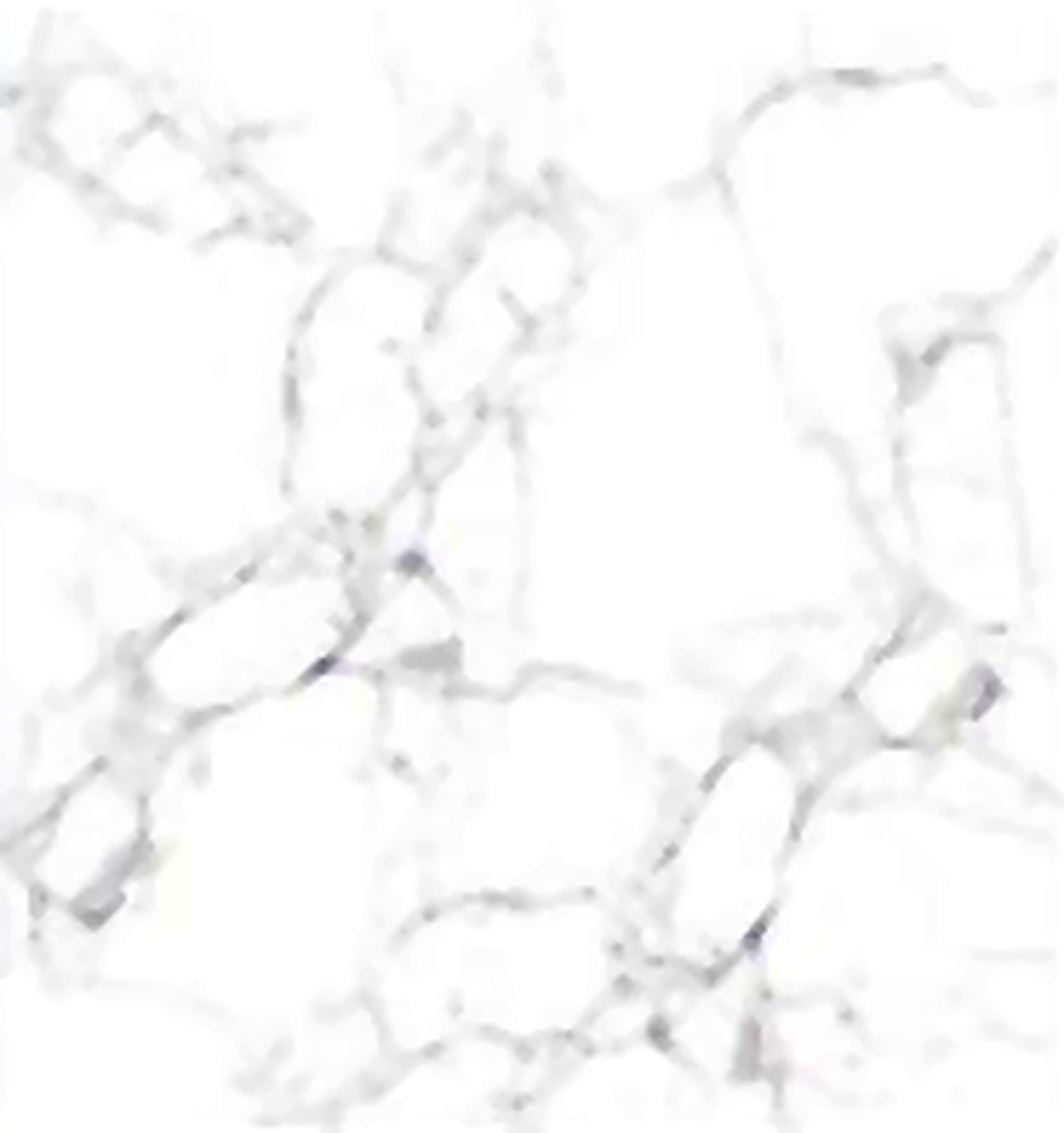 Virony Ceramic Floor Finishing Tile Statuario White, Silver Mist Marble, Carrara White Glazed, 600 x 600 mm