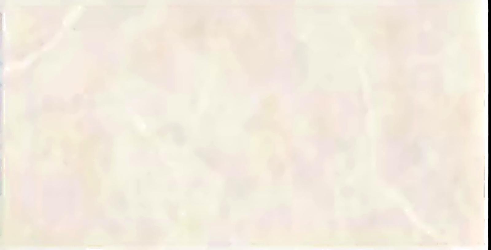 Virony Ceramic Wall Finishing Tile Pearl White, Pure White, Ivory Glazed, 300 x 600 mm