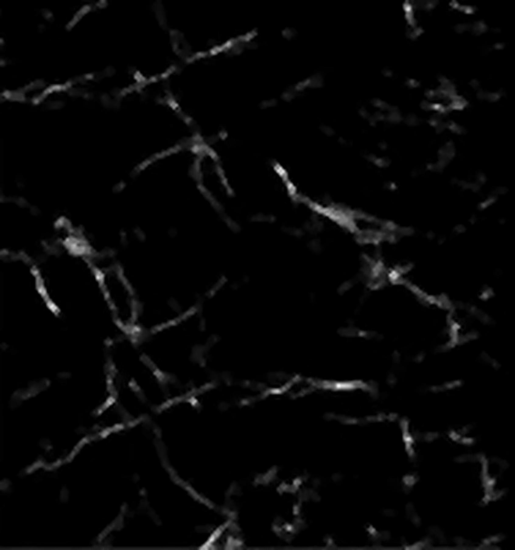 Virony Ceramic Floor Finishing Tile Jet Black, Charcoal, Dark Grey Glazed, 600 x 600 mm