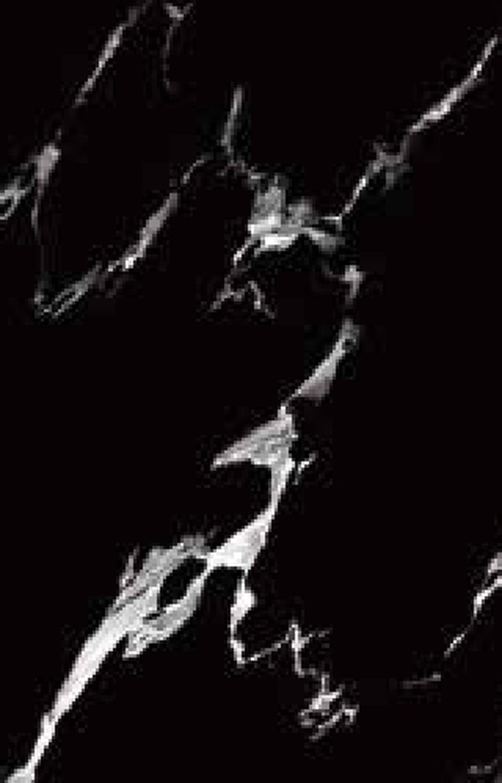 Goodwill Ceramic Floor Tile Nero Black Marble / White Glossy, 600 x 600 mm