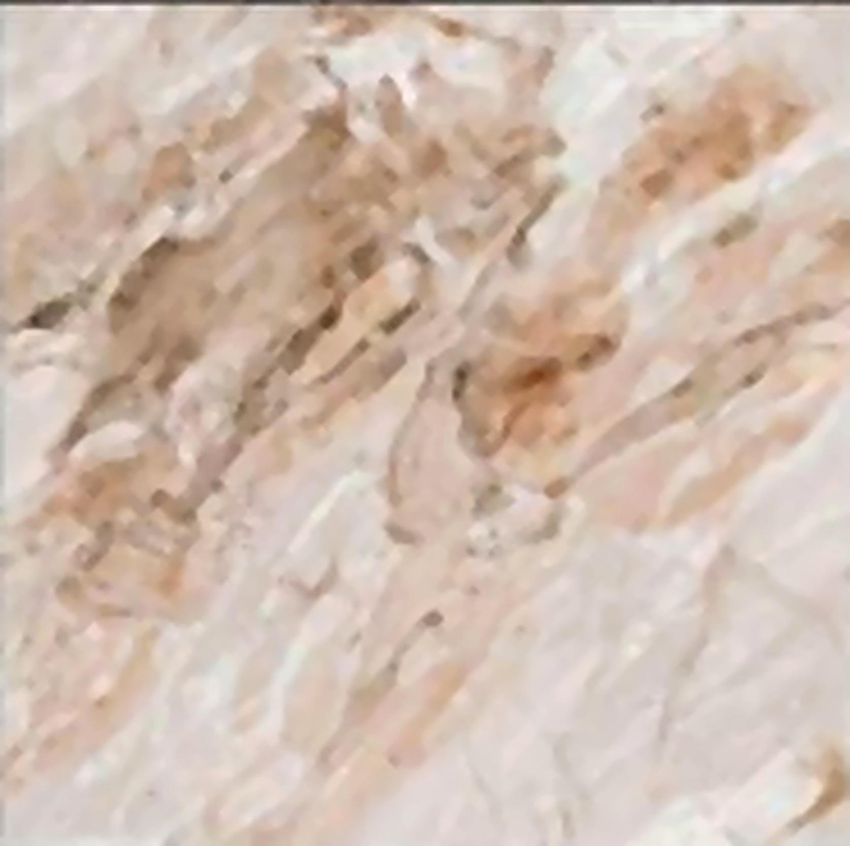 Virony Ceramic Floor and Wall Finishing Tile Light Grey, Beige, Tan, Brown Super polish, 600 x 600 mm
